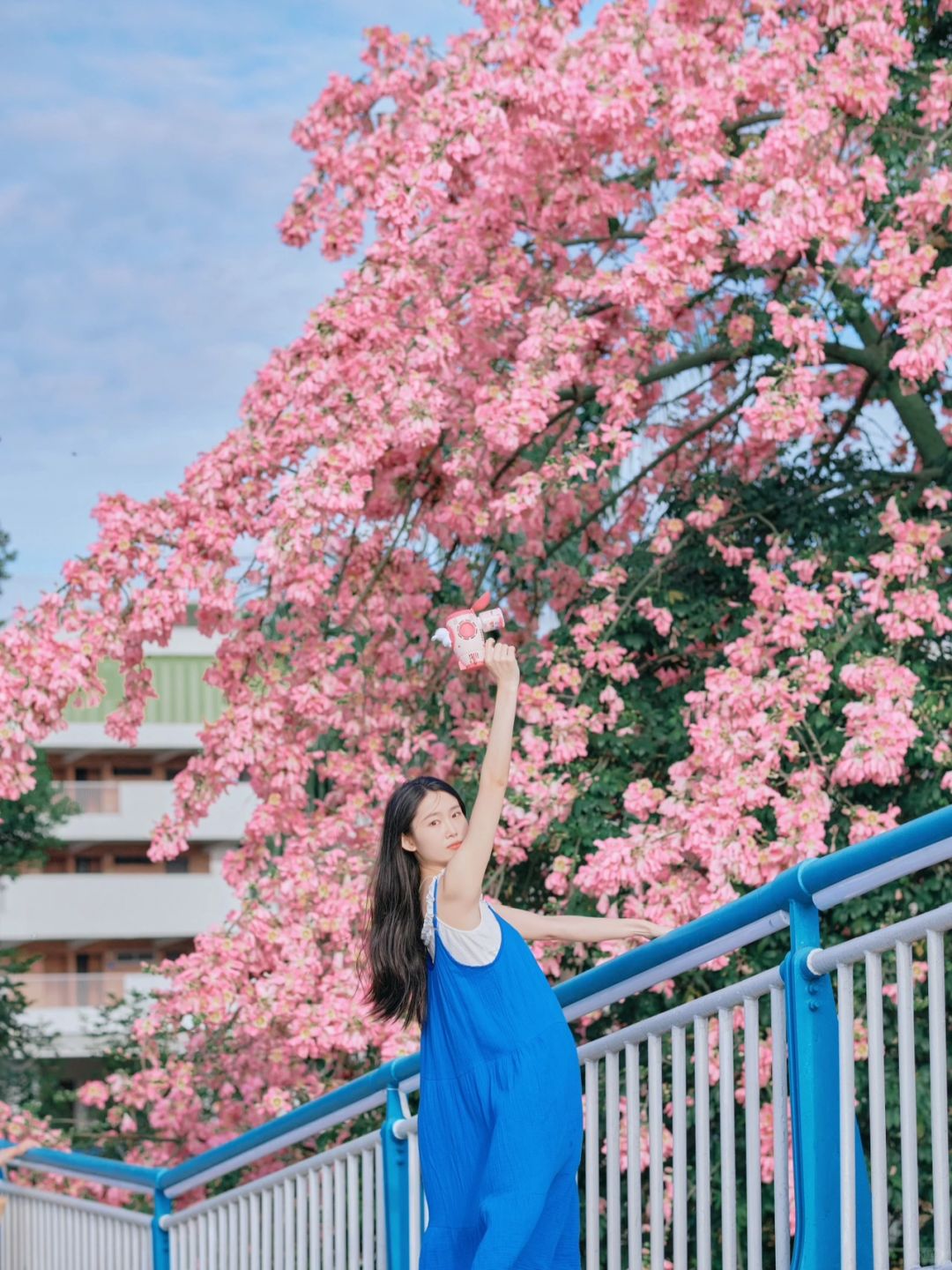 爱惨了这个地铁直达的异木棉🌸真的巨出片‼️