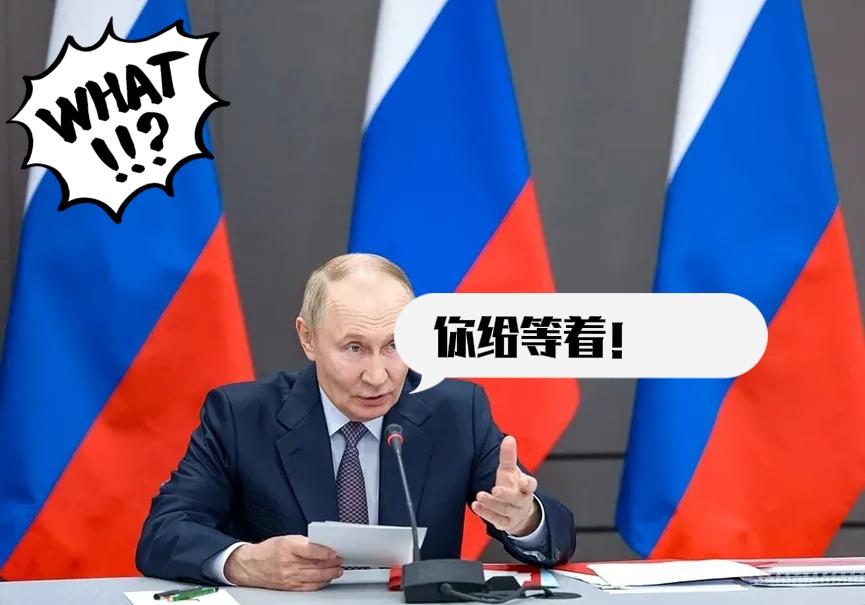 热点新闻！
泽连斯基挖坑把自己埋了，普京会在什么时候把土填上？

俄乌战争快3年