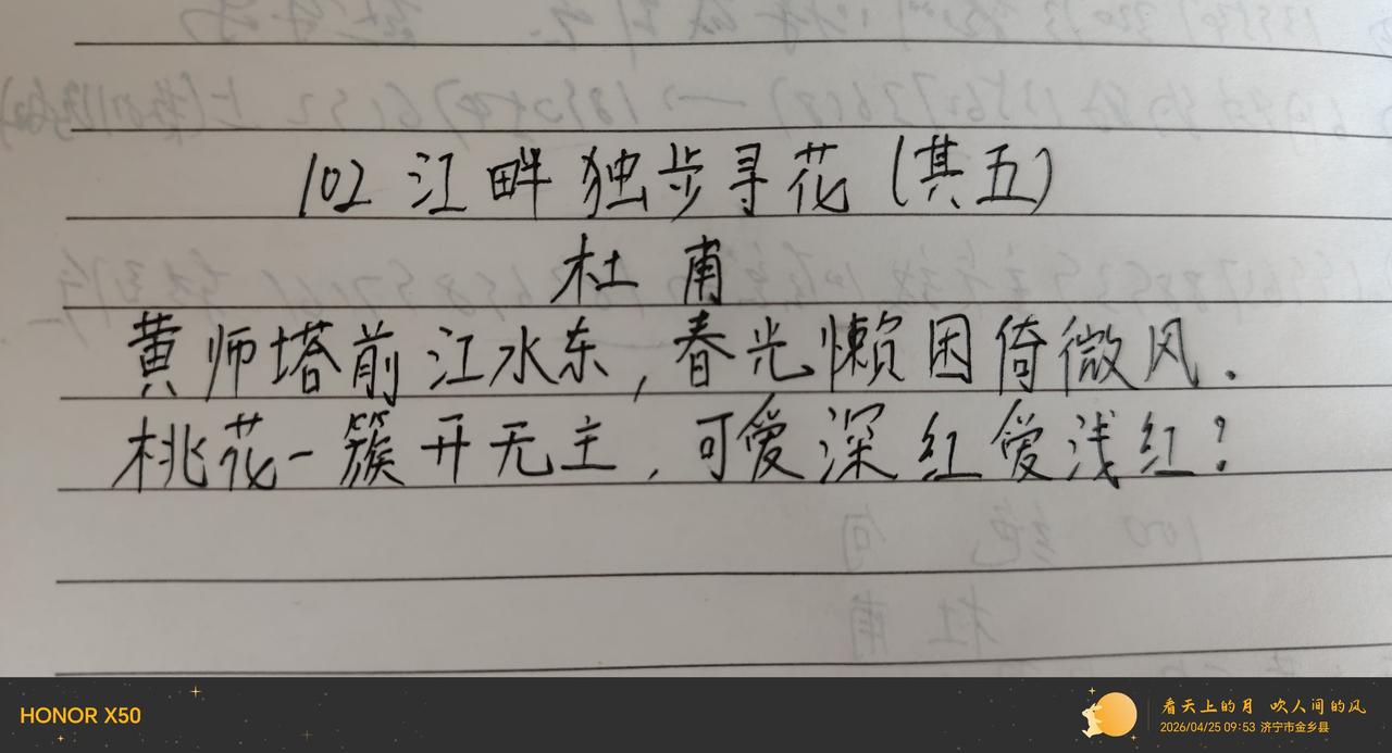 第102天，多么轻松的生活。