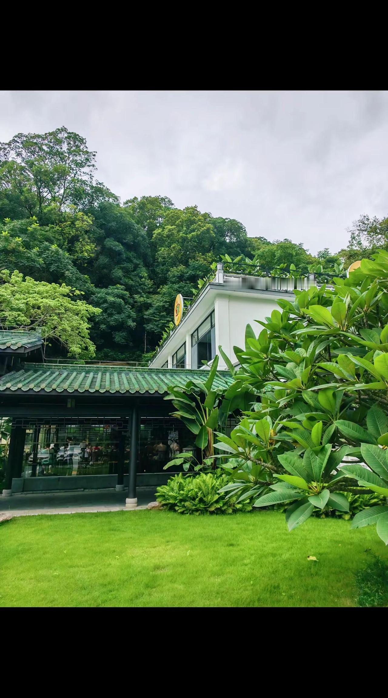 自然与茶空间