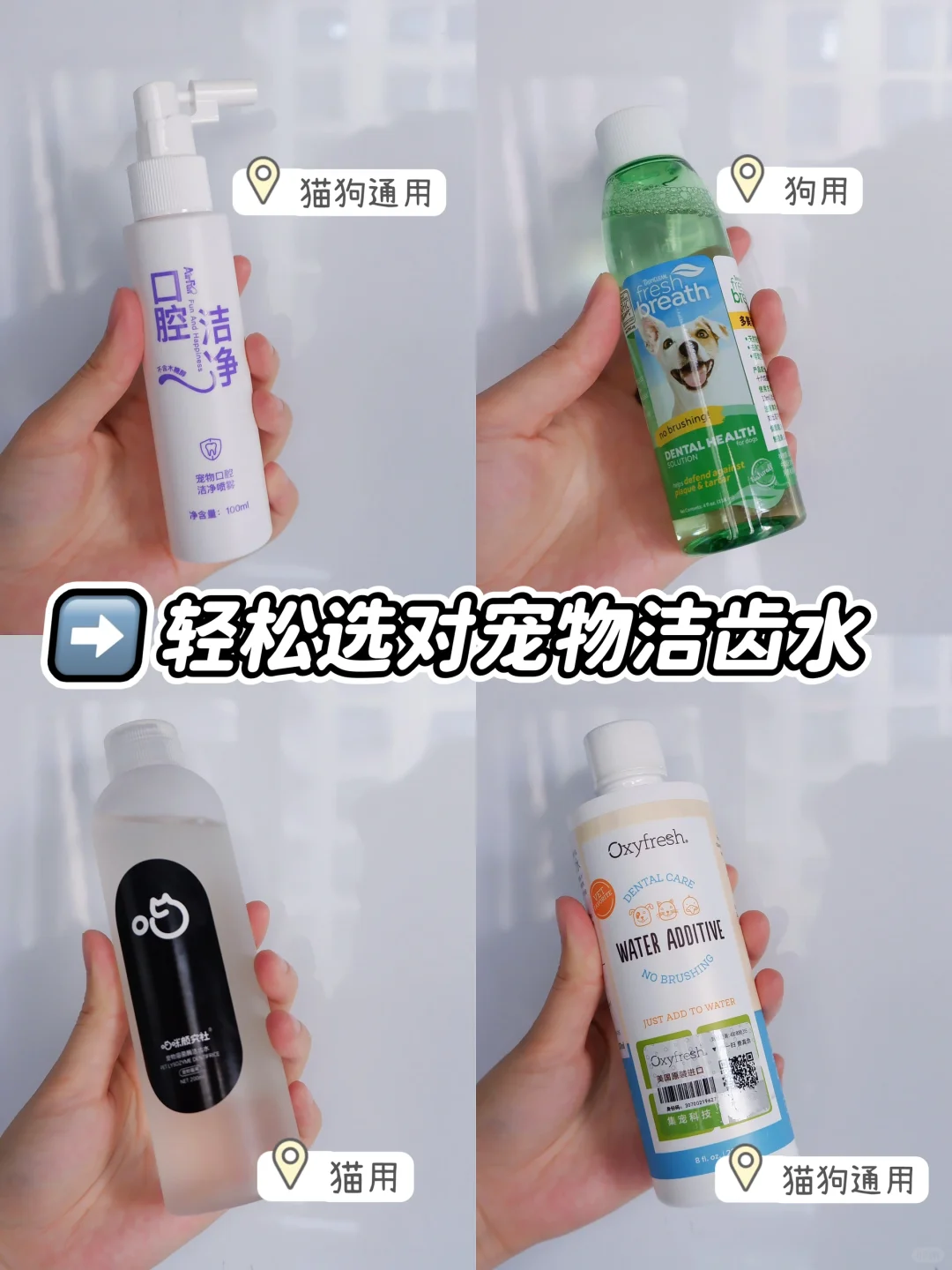 选对方法清洁口腔！狗狗才能更健康！
