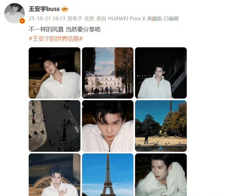 王安宇巴黎随拍微醺感王安宇巴黎随拍排版有点意思 王安宇真的太帅了吧也！！！王安宇