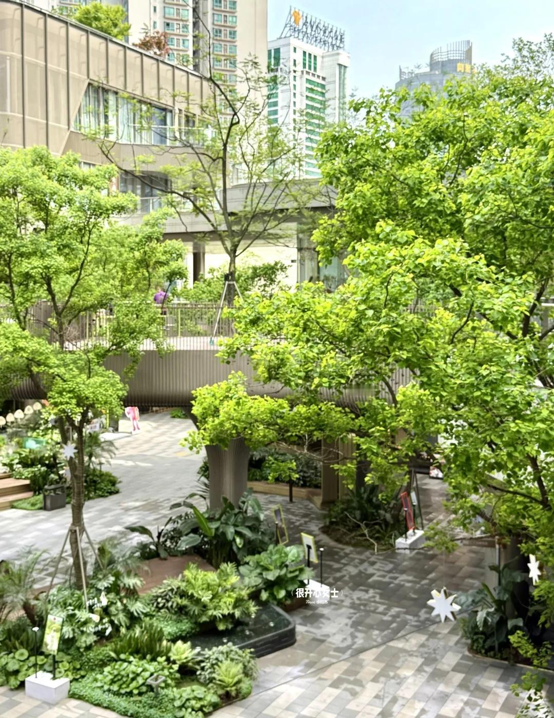 观音桥是突然被高人指点了吗。。。。。。。。。。
怎么突然变得这么有质感啊！！！走