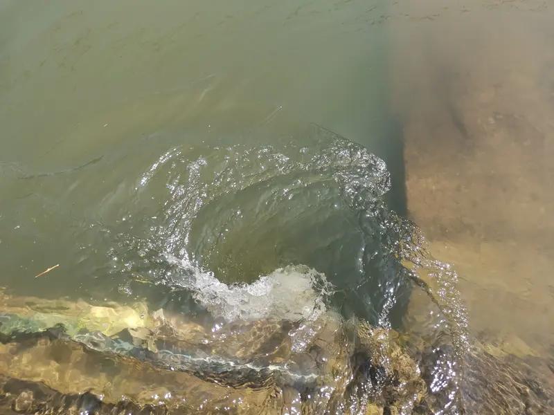 七律·深知趋势
 
洞彻浮沉识变机，静观潮起落云霓。
循天道远心常定，顺世流清志