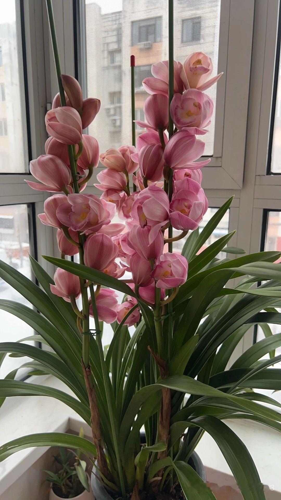 失散期间的经历不同，让彼此共同话题变少影响亲情。[我想静静][我想静静][赞][