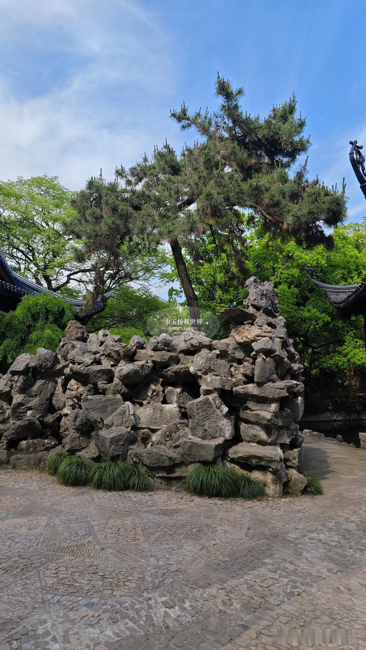 厌倦了市区园林拥挤的人流，特意抽整日奔赴南翔古猗园，才懂沪上古典园林里，唯有此处