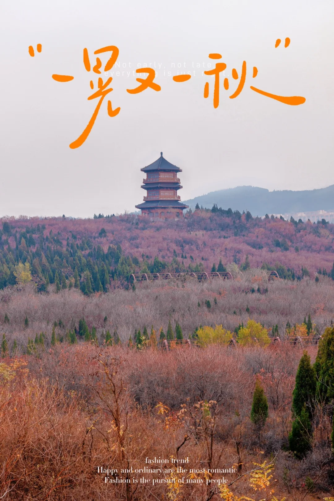 就现在速去‼️章丘这个公园美爆了🍁景美人少