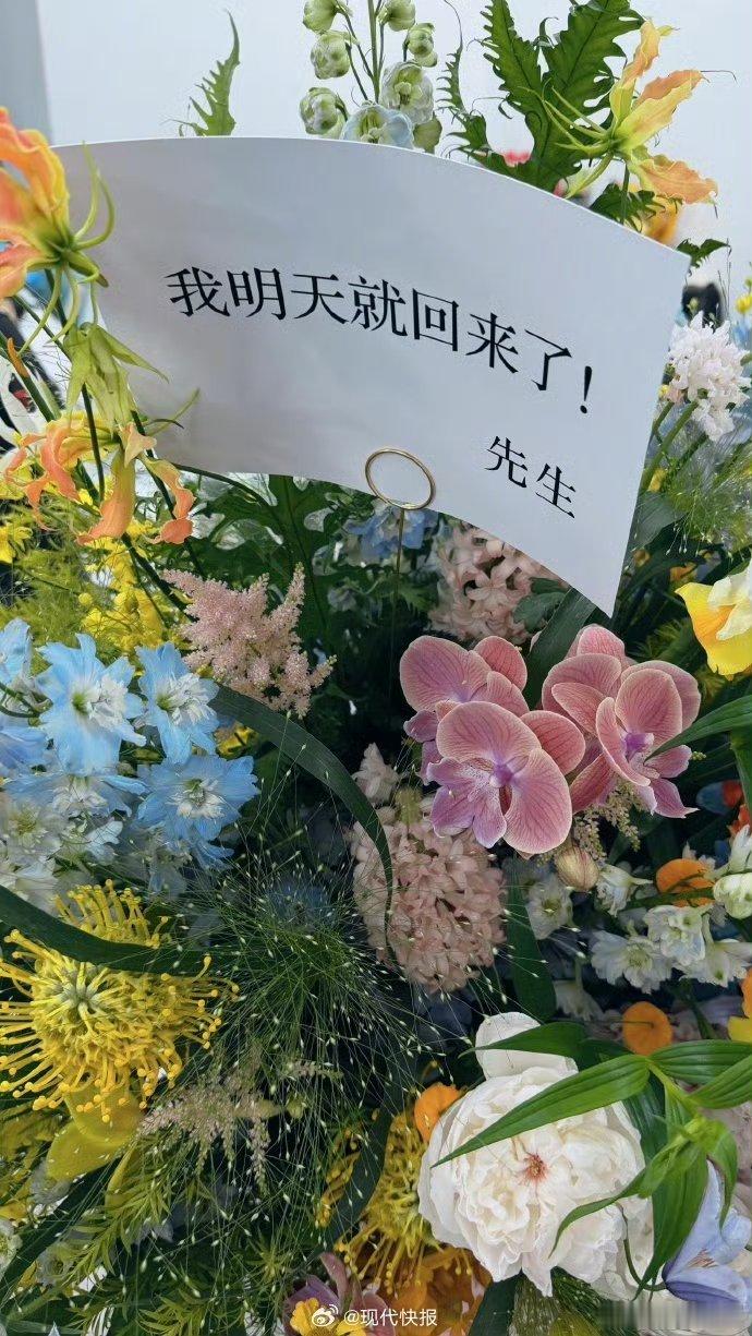 李荣浩给杨丞琳送花篮落款先生这两口子，真甜 
