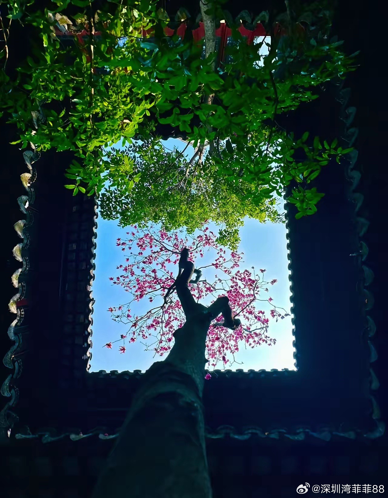 交易的本质！交易的本质就是一场等待的游戏。足够的耐心要比正确的判断更重要，频繁交