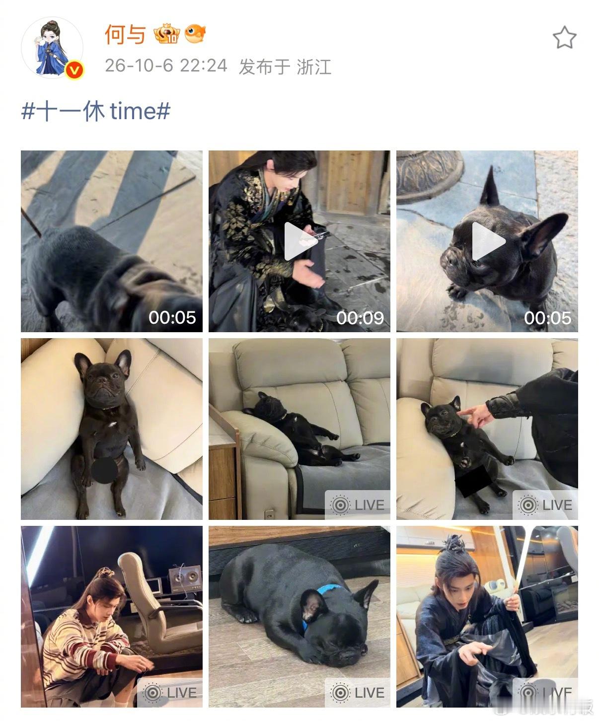 何与晒啤啤陪爸爸打工日常何与 幼稚的人类成熟的小狗 分享啤啤陪工日常，小狗乖乖守