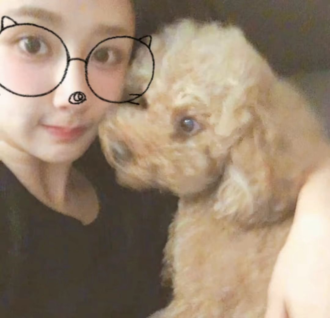 杨紫 yz杨紫董竹君 yz杨紫玉兰花开君再来回首亘年漫月里的所有怦然心动，你仍拔