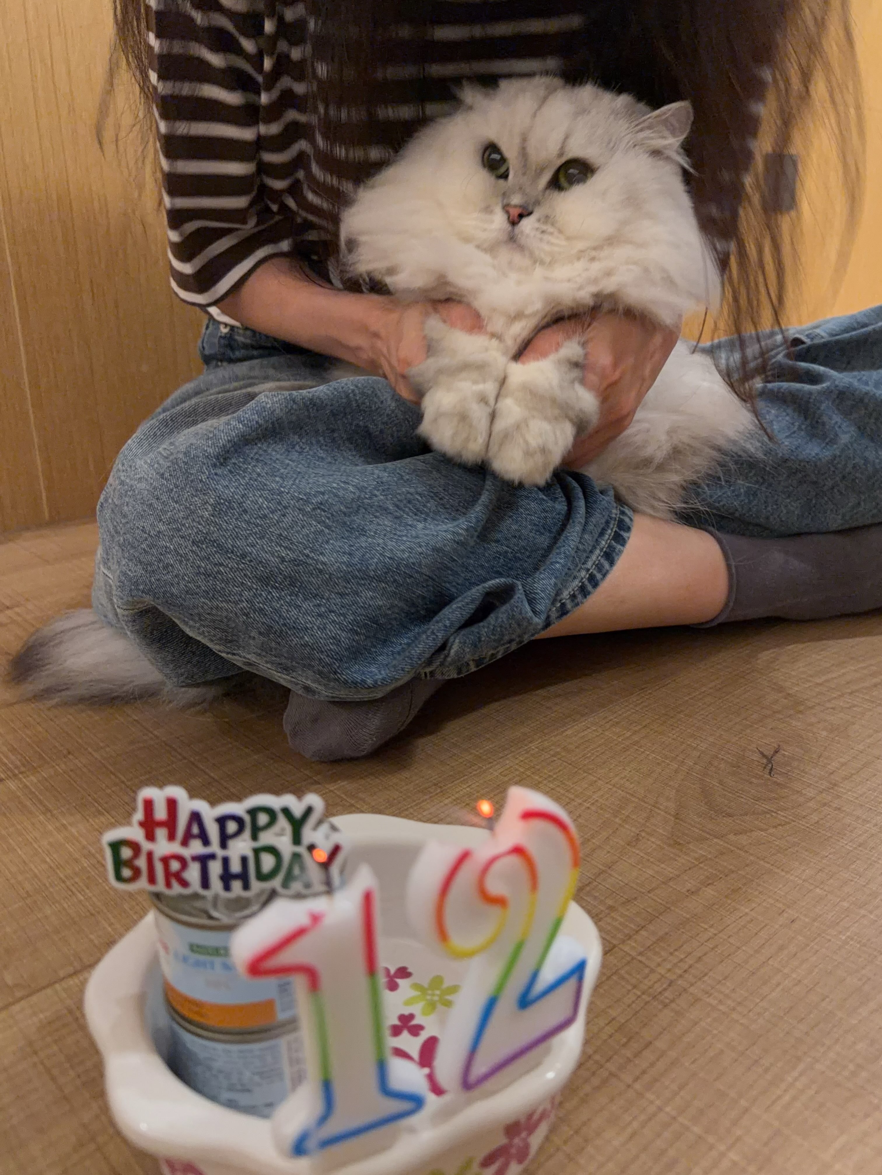 舒淇妈咪帮猫猫MANMAN庆祝12岁生日