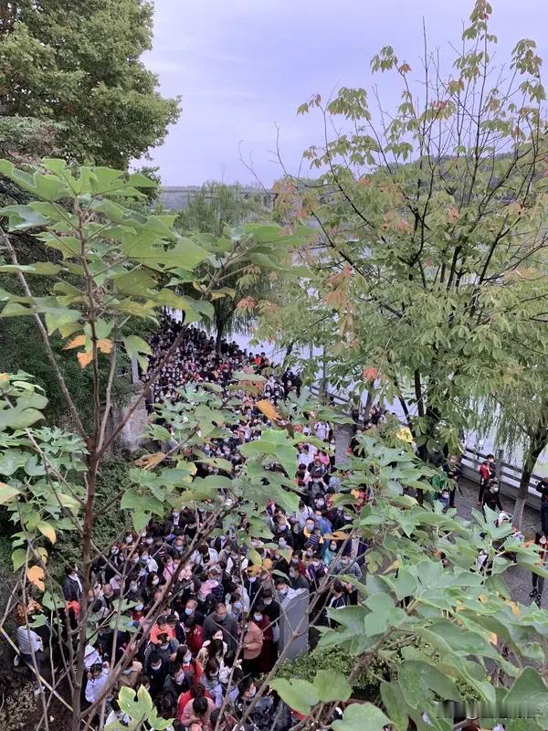我认为不值得，主要是挤得看不上，白花钱，还浪费时间。