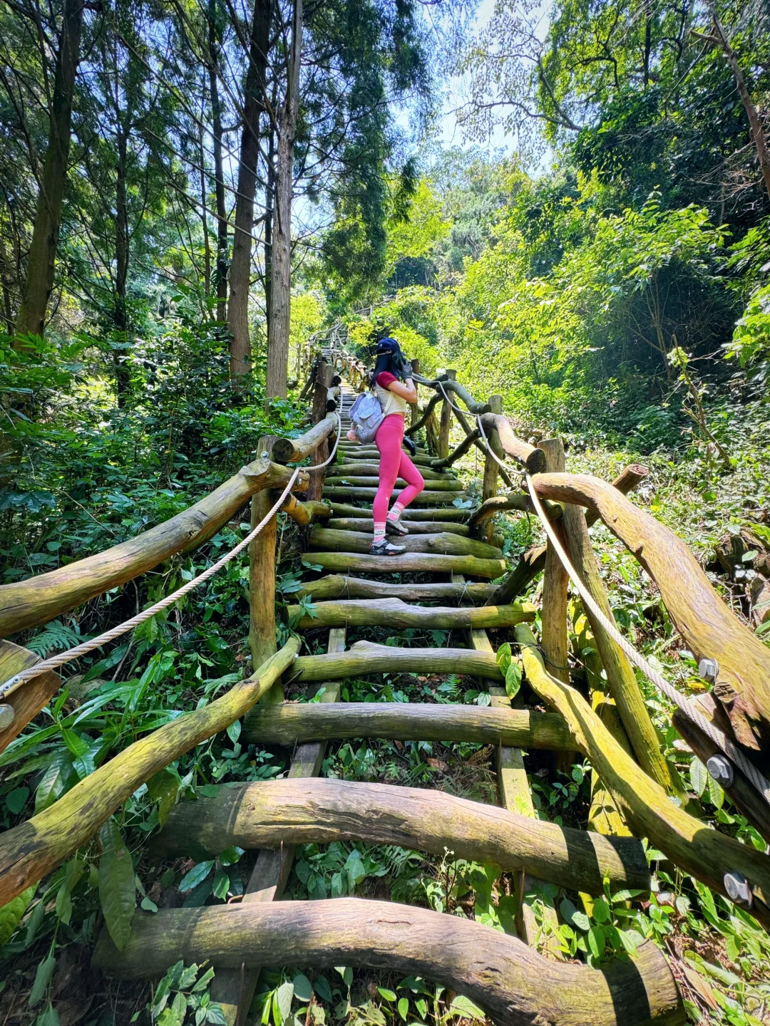 📍大坑步道．據說木頭造的萬里長城要赤腳爬