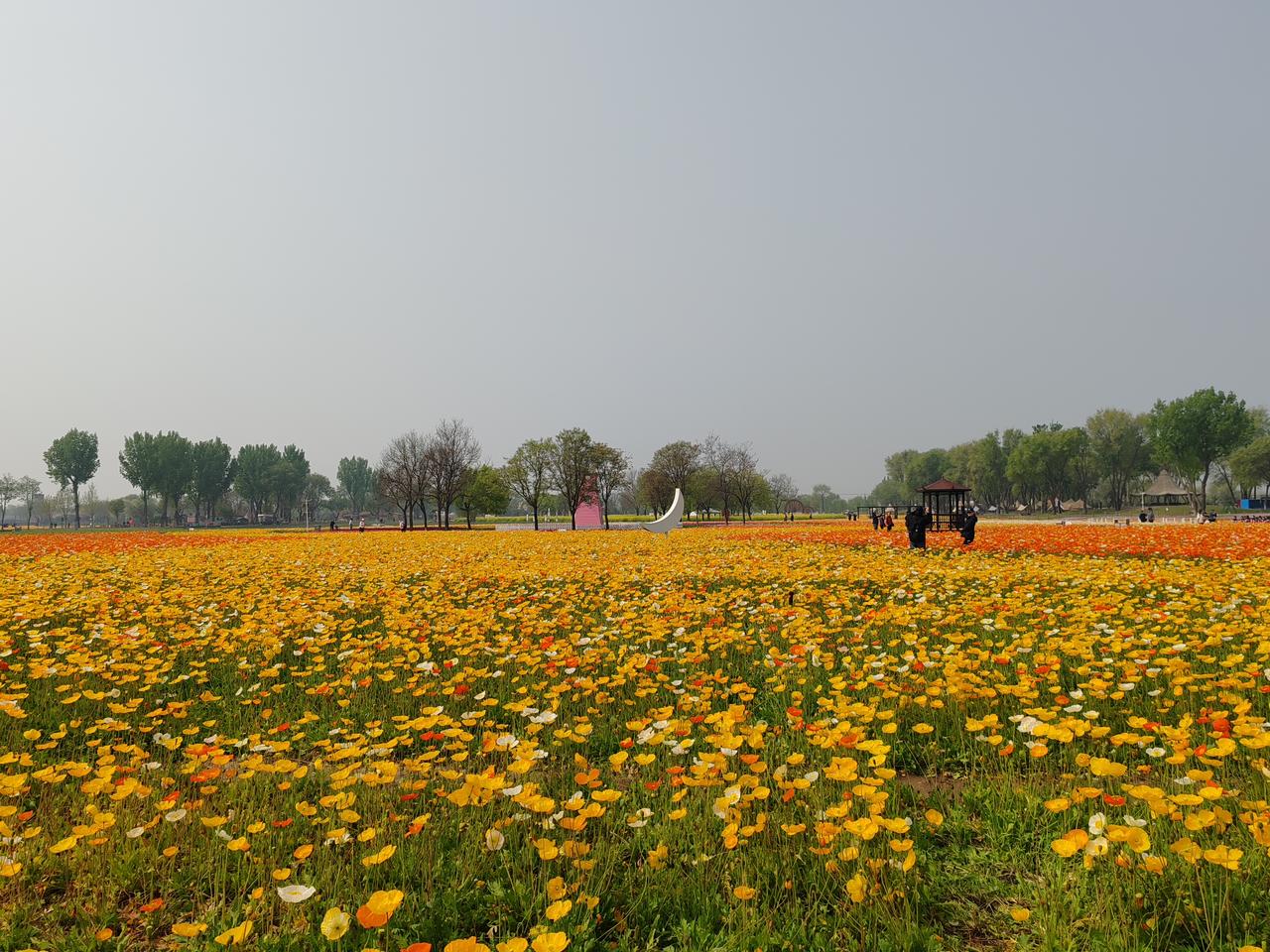 晒图笔记大赛四月春游随手拍。