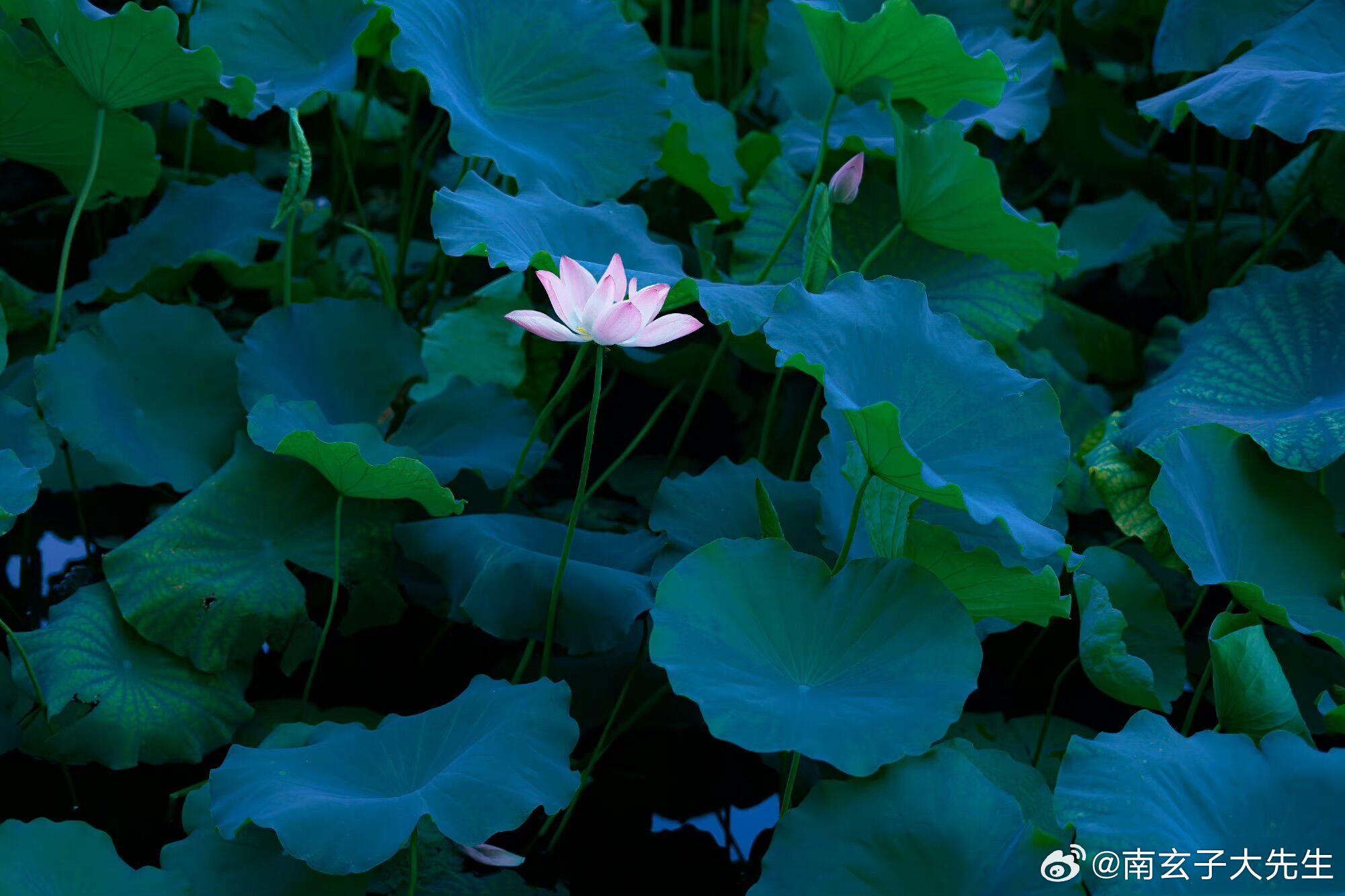 印星代表是辛苦操劳付出，为忌的时候也代表烦心事，身旺走印星运，容易心烦，劳累付出