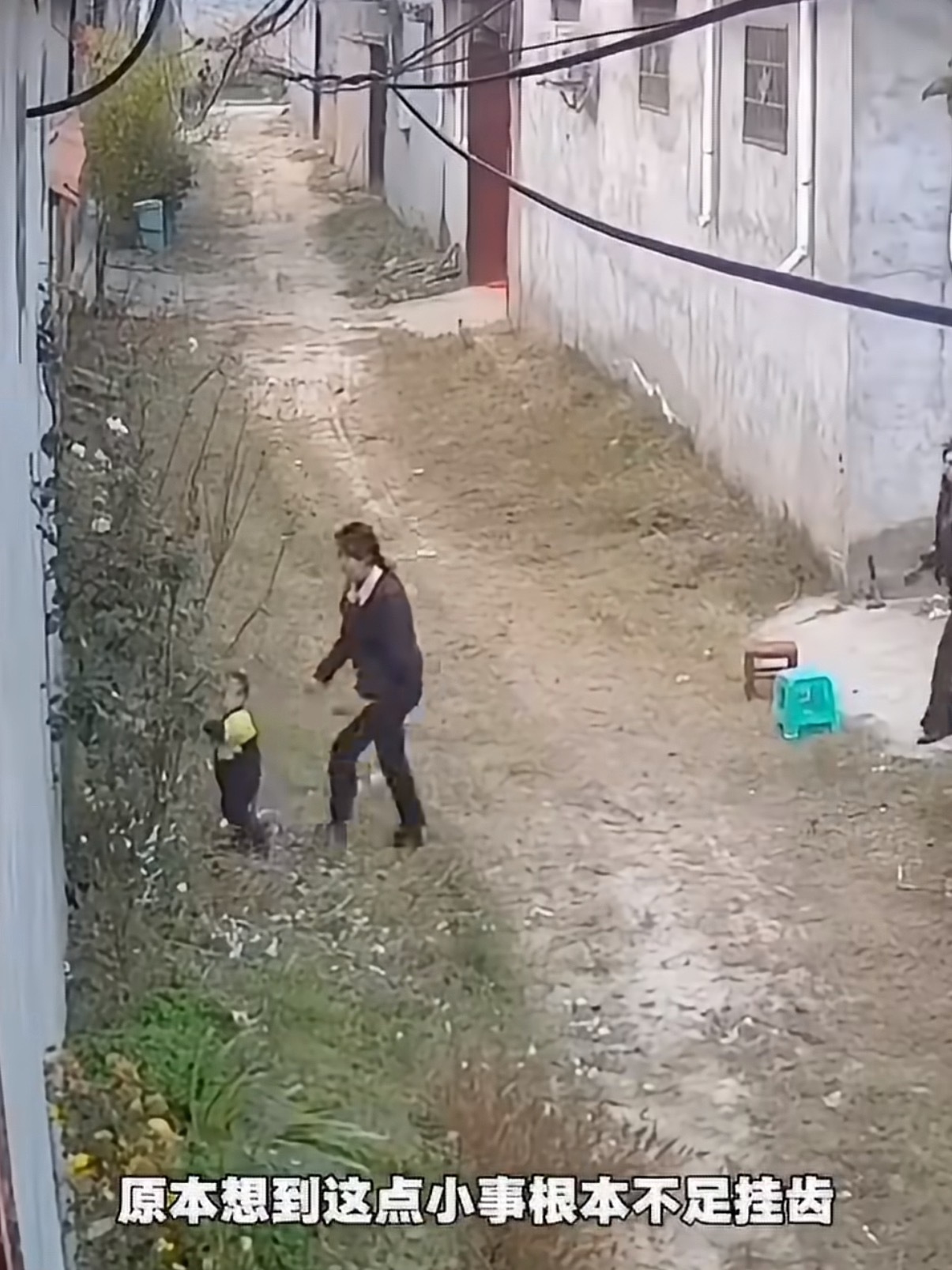 孩子摘月季被扎后老人挖月季孩子不懂事可以理解，大人怎么也拎不清？好好长在原地的月