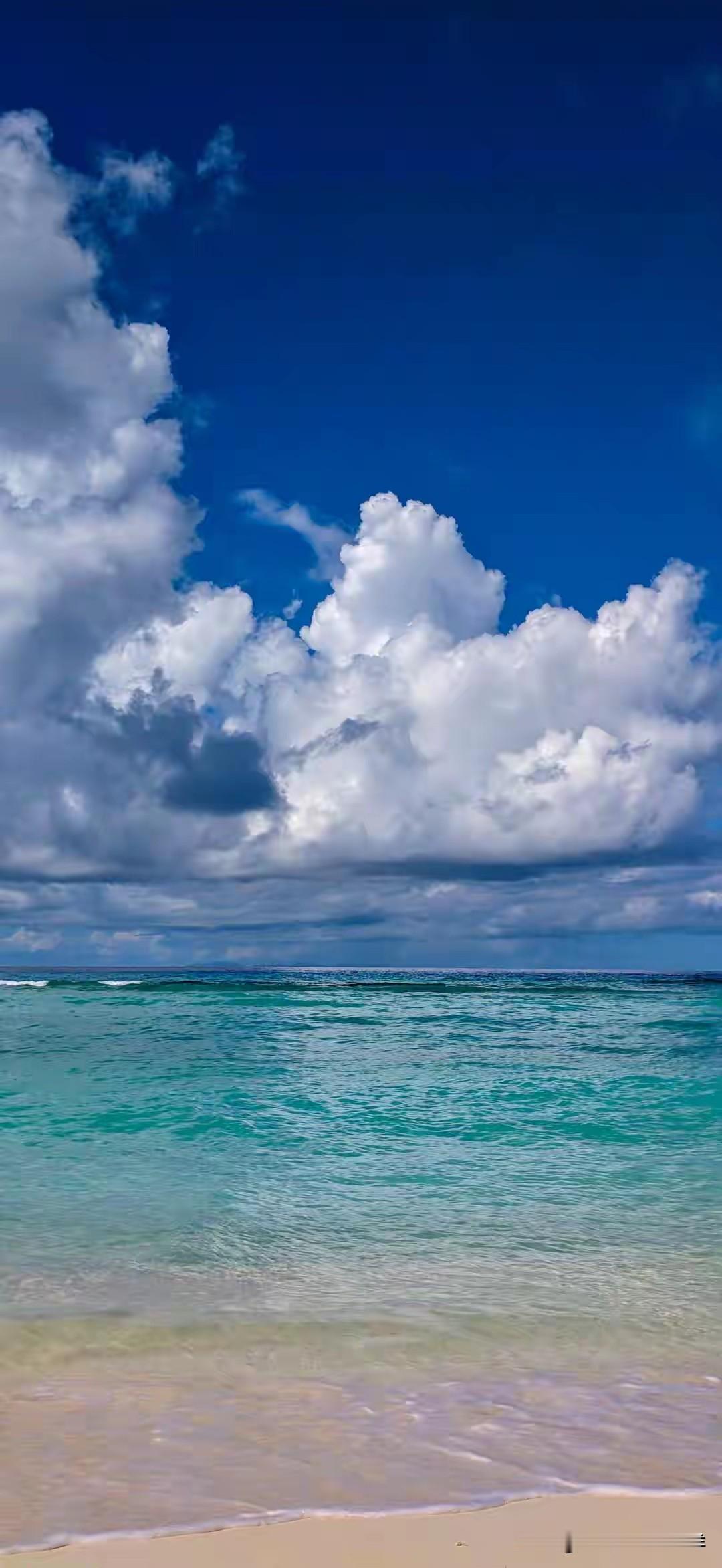 　　在海浪成仙


　　远远地能听见海的声音，沉闷而有力，像大地深处的心跳。我拖