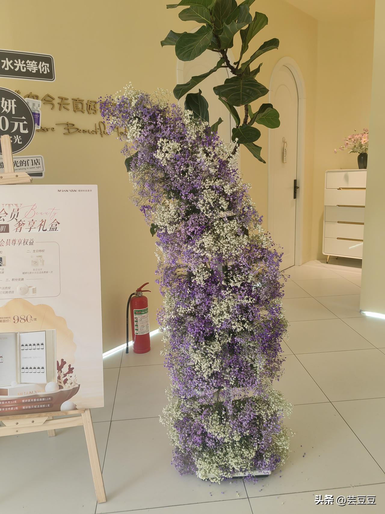 今天去美容院做了一个面护，睡了一下午，起来看见皮肤又白又亮，真好！