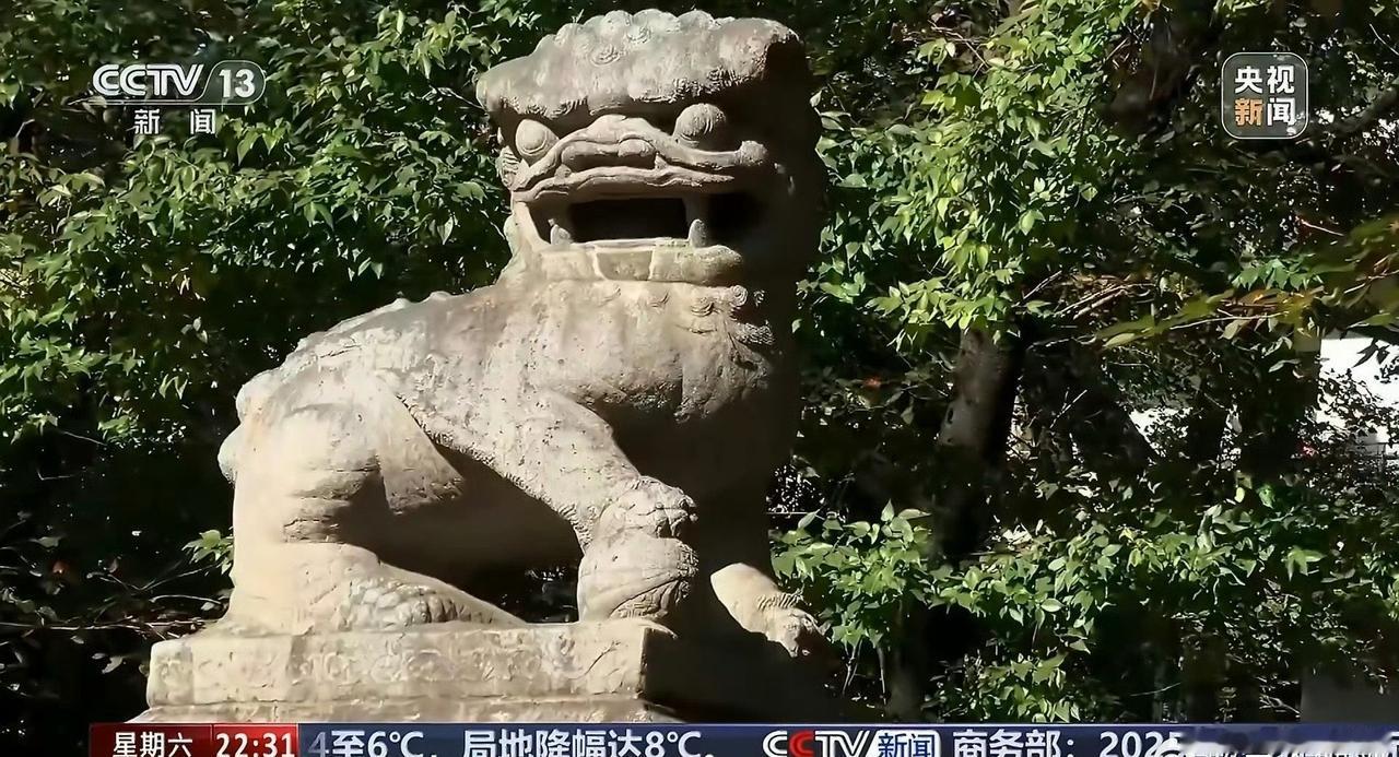 让他们认识到错误是不可能的！但是该是我们的东西就应该还回来！！中国公民春节期间避