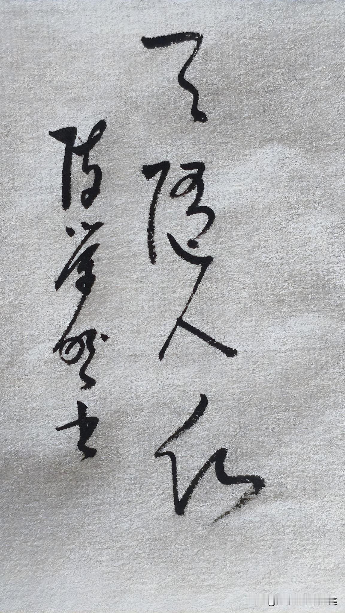 草书精品展示：天随人愿