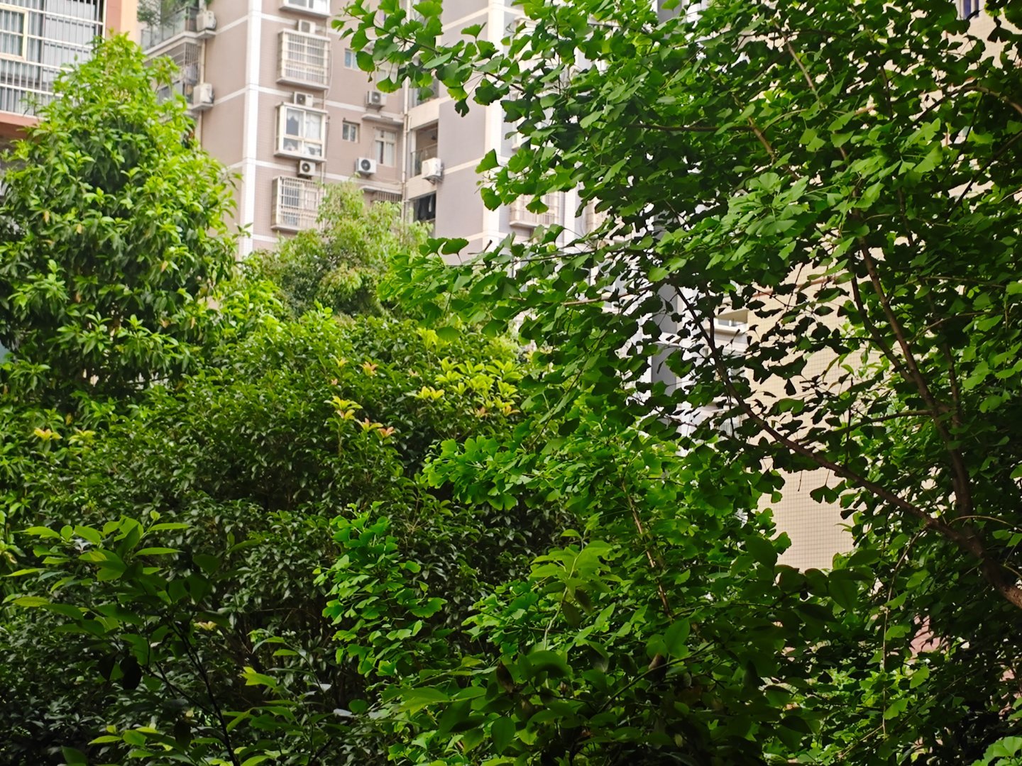 美好不必轰轰烈烈，安稳便是人间欢喜。我的日常plog 重庆·重庆中央公园