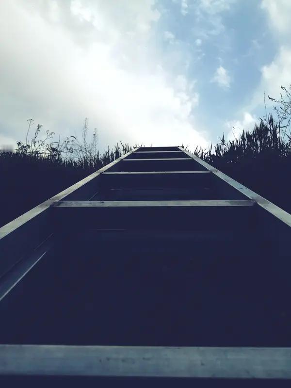 豪迈，尽显于登高挥毫之际，宛如傲立世界之巅，尽情挥洒满腔豪情。马年本就自带一股狂