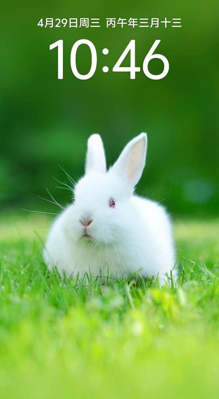 修行，到底在求什么？
 
修行，说到底，
求的不是玄乎的神通，
是心里的那片静。