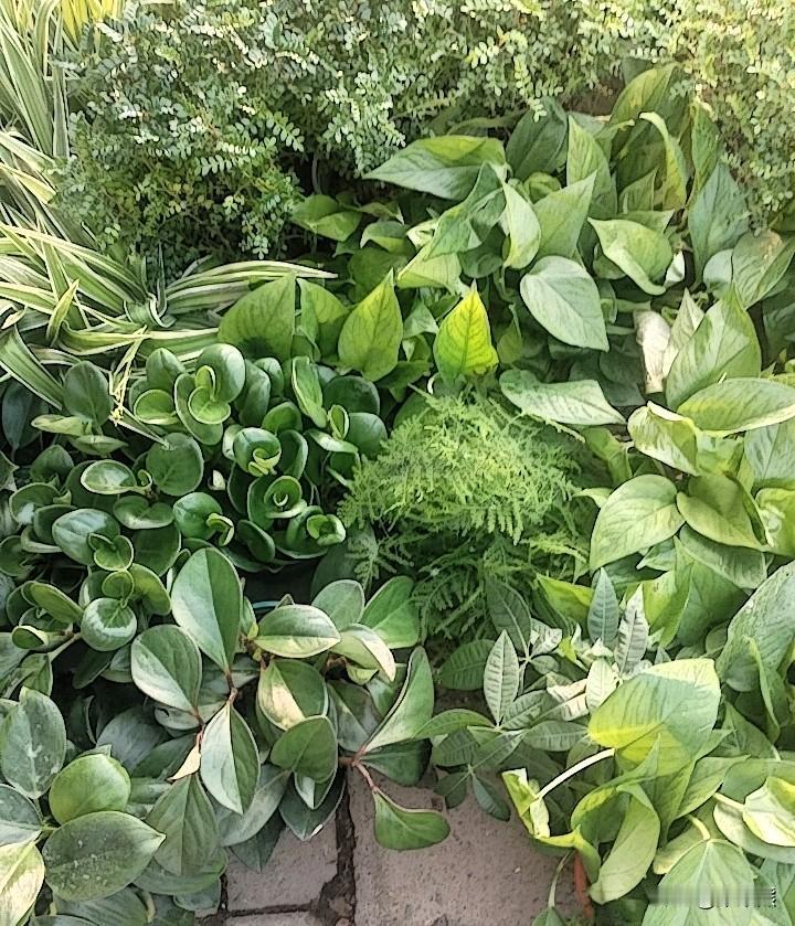 下班路过菜市场，听见有人聊“六经”在中国文化里的地位，心里也有点感触。

六经作