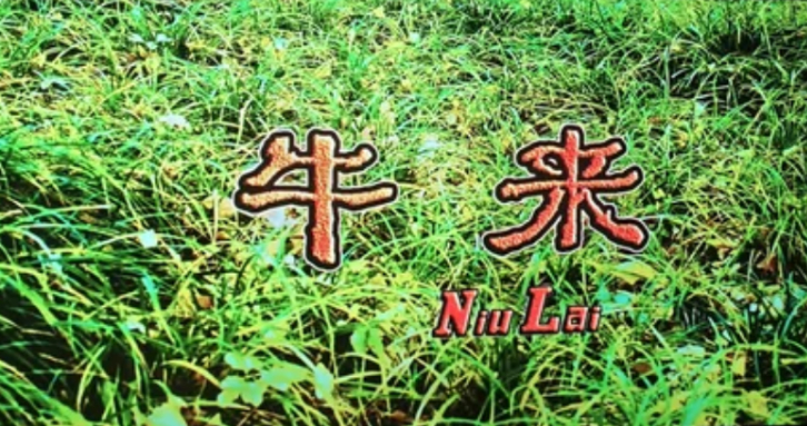 牛来彻底爆了，票房250万了，预计最后的总票房应该在1500万左右，投资方起码能