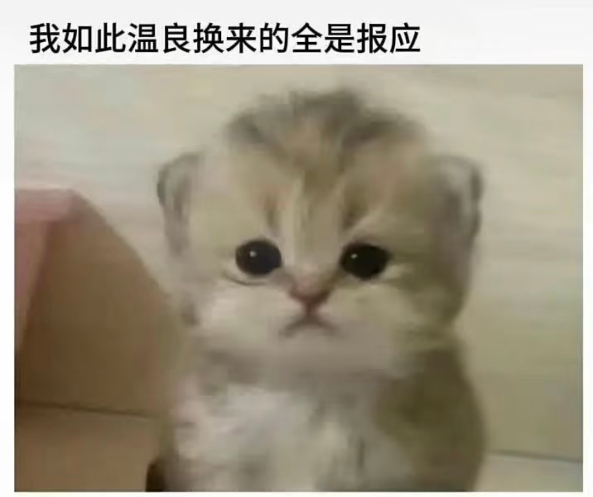 分享图片 