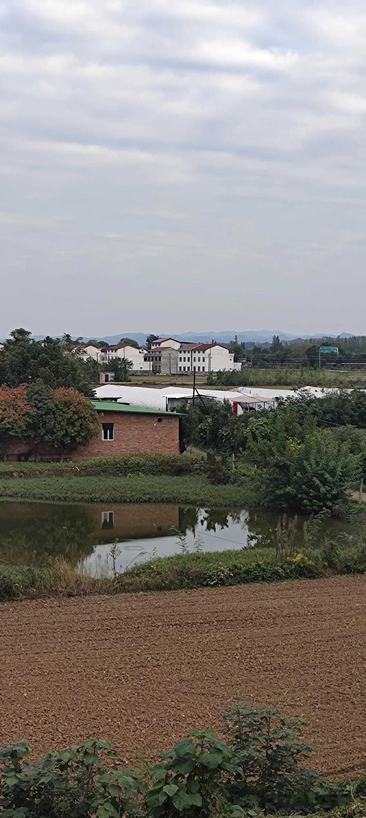 地已经翻整妥当，一池静水映着绿树屋舍。乡下的日子平平淡淡，看着心里踏实安稳!