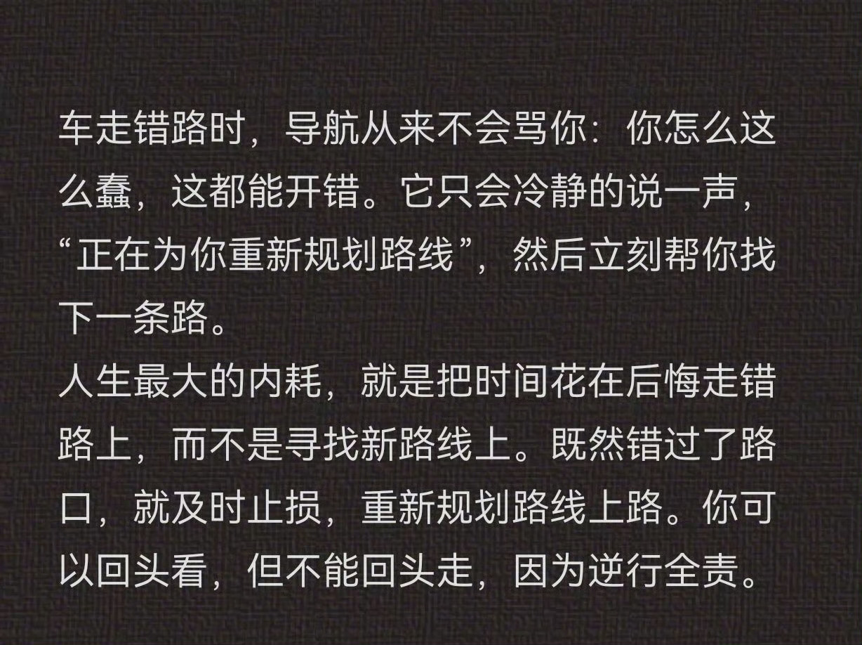 你可以回头看，但不能回头走，因为逆行全责。车轮上的世界