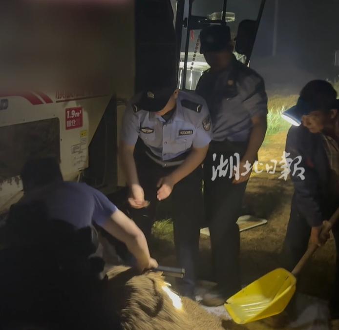 暴雨预警临近，湿麦卡死收割机，襄阳民警通宵下地徒手抢卸六千余斤小麦。
 
每年五