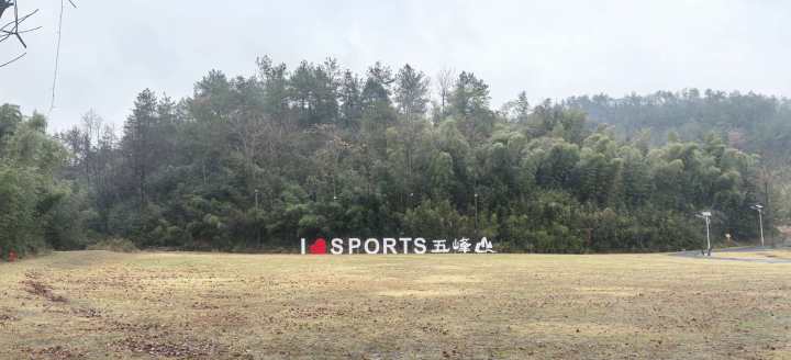 义乌西门老街的金凤凰，河上镇居民家门口的青菜盆栽、萧山繁华地段的旧墙，橙友天南海北找到了中国生动年味