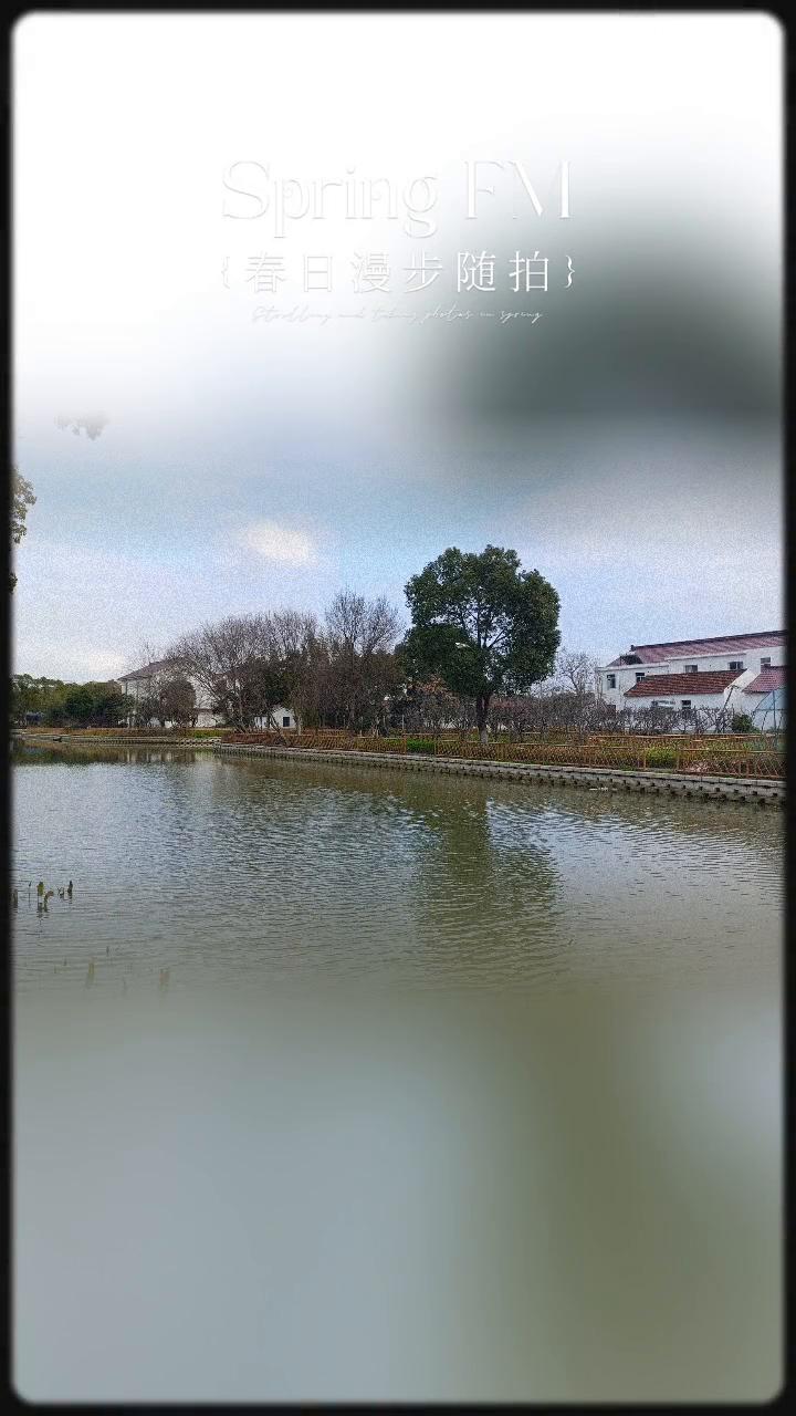 春日漫步随拍。
在春日的某个早晨，在转角的鲜花店，春天那么美好，错过就可惜啦。