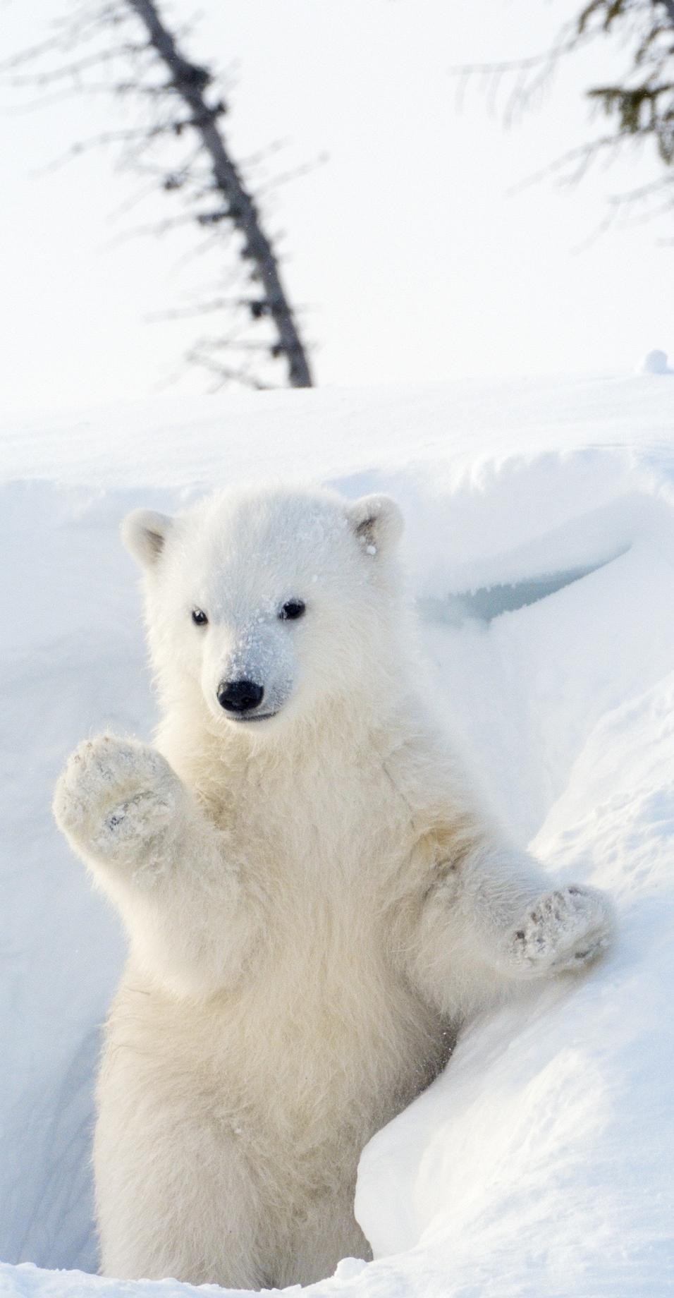 明天复工，早上正常点名。这几天休息的也差不多了，准备复工了嗷朋友们。好好睡觉。新
