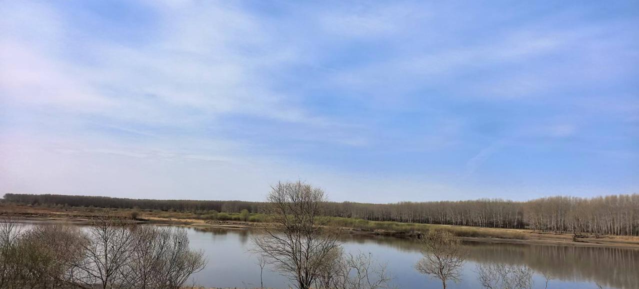 魂系家乡梦归长