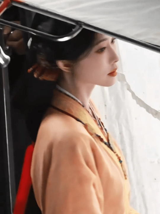 刁钻角度下的孟子义 刁钻角度下的孟子义也这么美，她回头那一下眸含千秋事的宿命感太