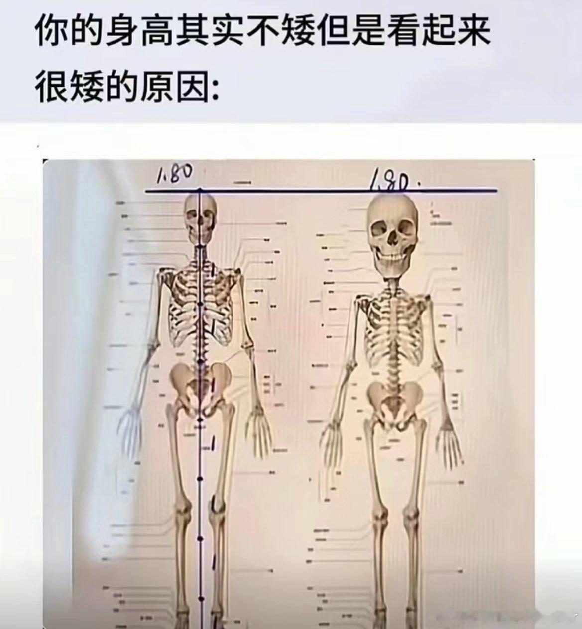 破防了 ​​​