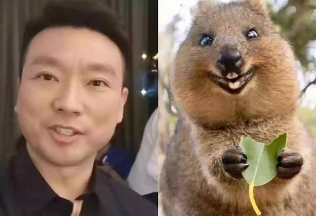 康辉丁克20年悔恨：母亲求孙被拒，遗物里的虎头鞋，戳痛千万人
 
身为独子的康辉