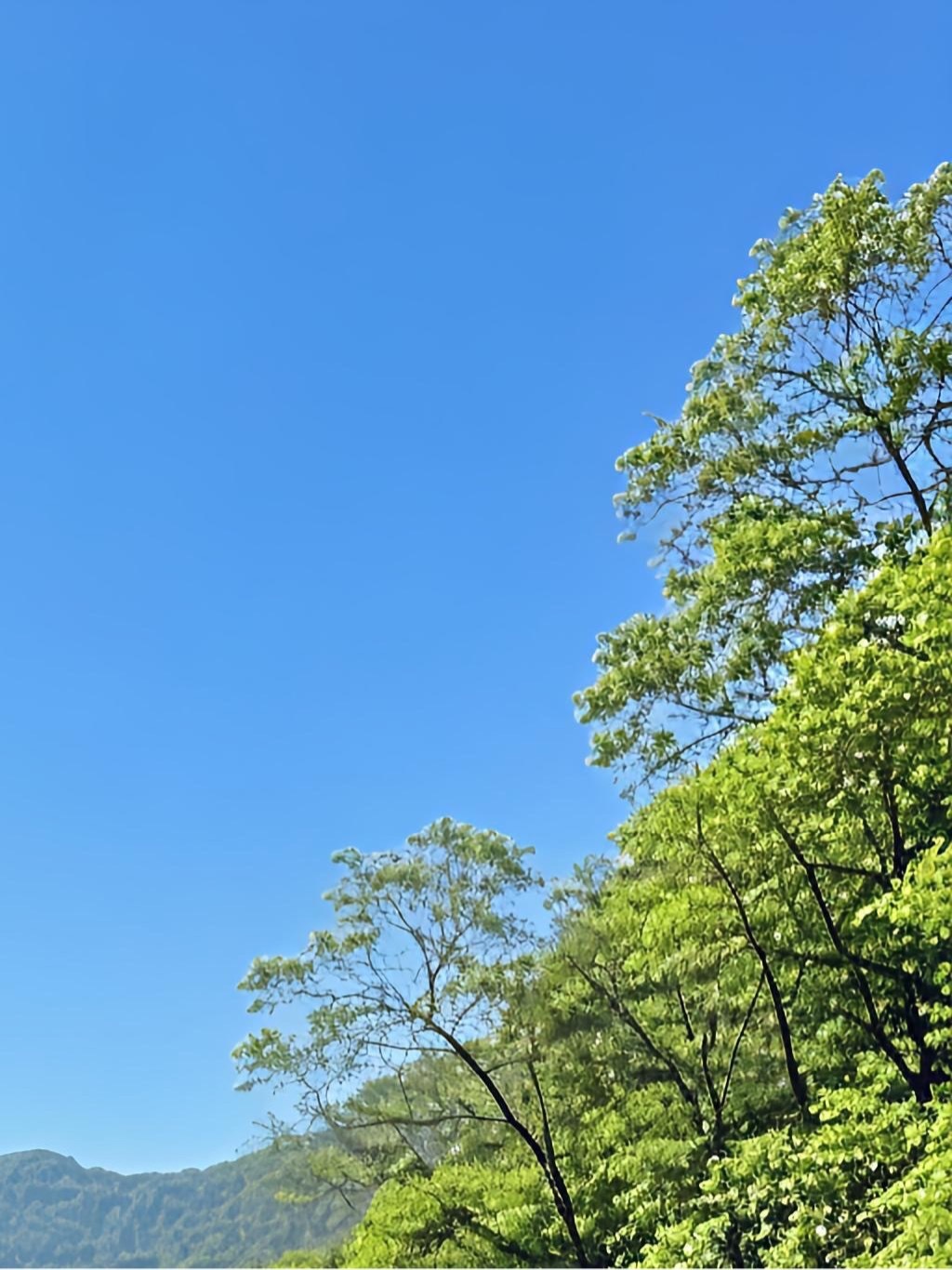 0900爱出者爱返，福往者福来。播种一份善良，就是播种一份希望。始终心怀善意，我