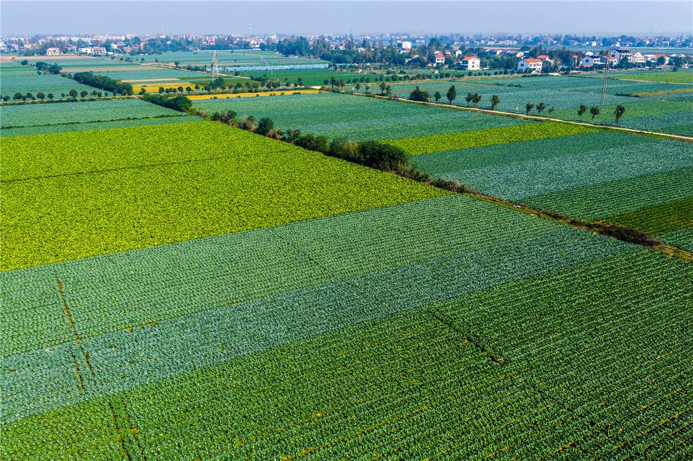 读《近思录》之2.75　

尹彦明见伊川后半年，方得《大学》《西铭》看。

解读