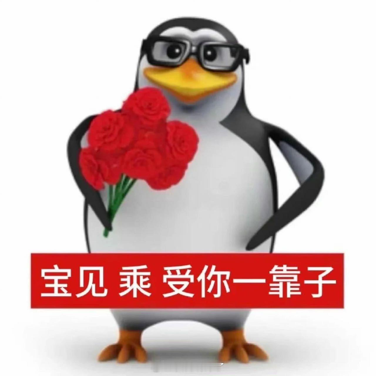 跑腿小哥520现场教学男生选花谁懂啊男生选花主打一个随缘，幸好遇上懂行跑腿小哥，