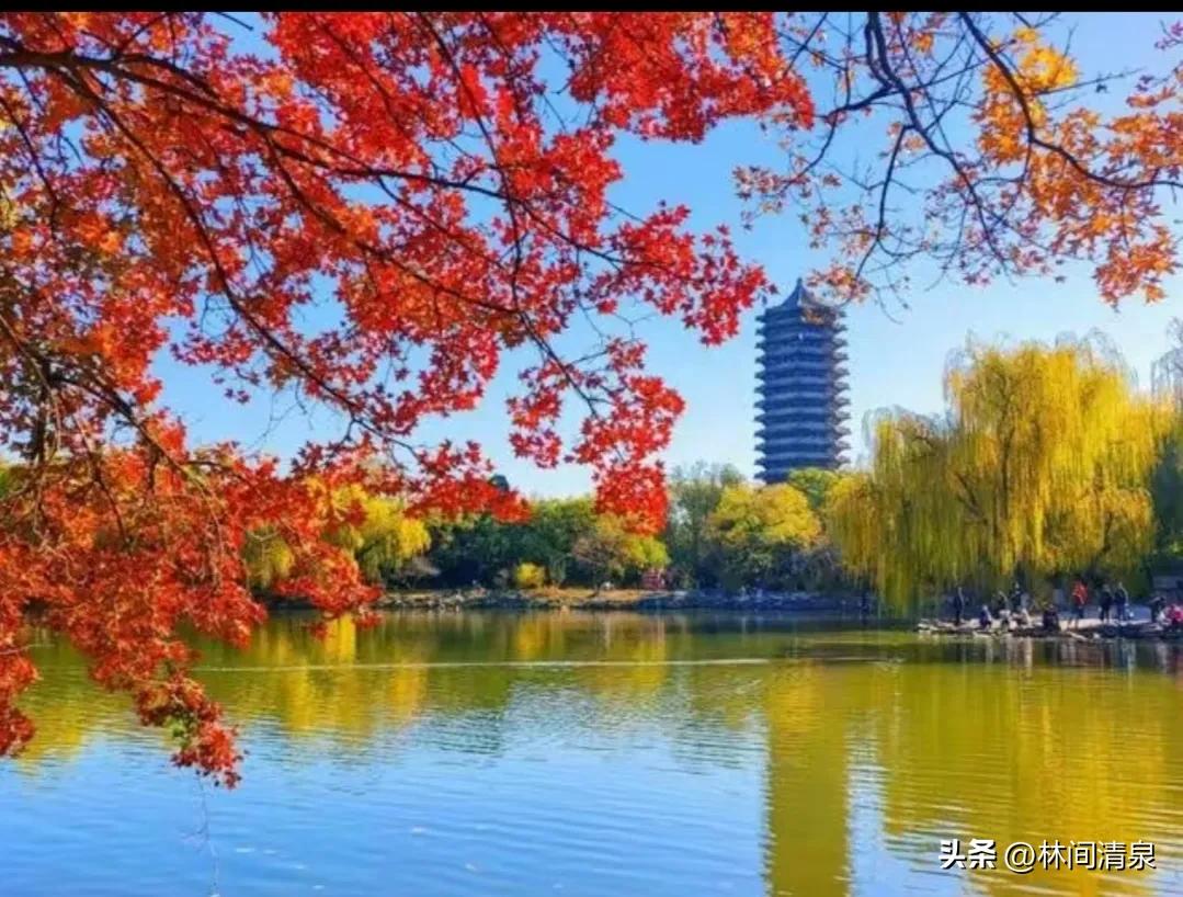 今天上午优质课说课比赛，有位老师竟然把化妆师带到学校，给她化妆。天呐，竟然这么卷