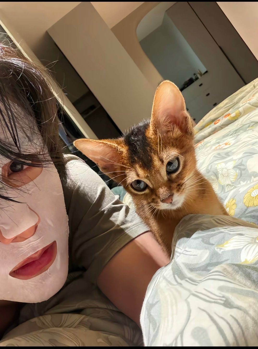 爱猫人士 张/新/成×文/俊/辉 