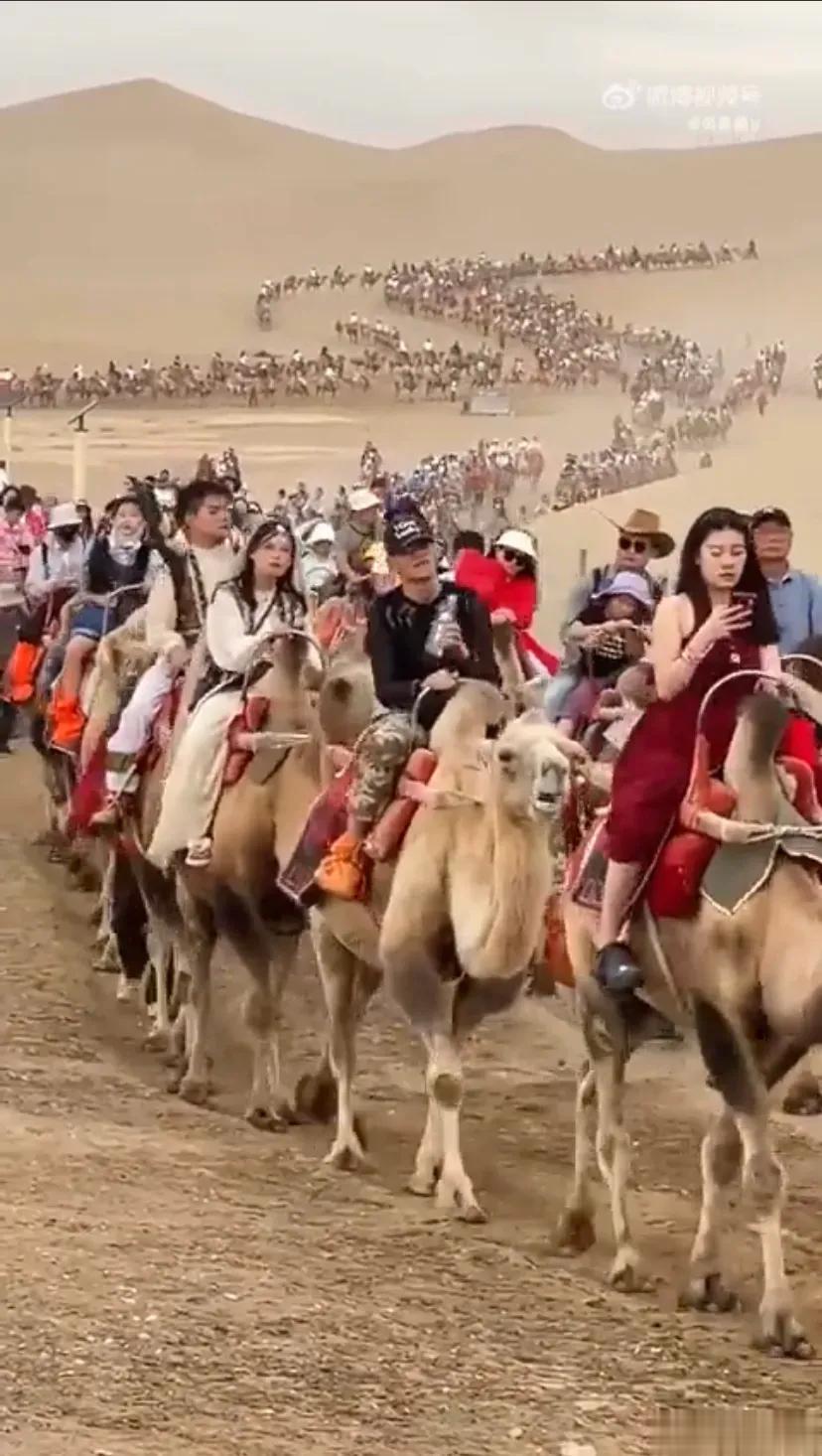 这图西方不用太可惜了！中国西部惊现难民潮，骑着骆驼穿越沙漠，寻找自由的曙光与手机
