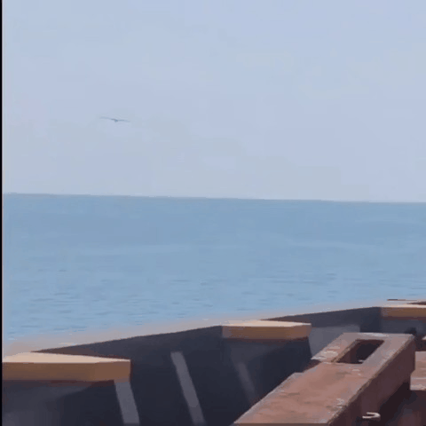 🚨🔥 无人机袭击了位于埃及达米埃塔（Damietta）港的一艘美资天然气储运