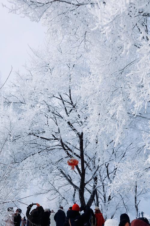 五大吉林元素闪耀春晚，令人倍感亲切！长白山的美景、吉林雾凇的奇幻、二人转的欢快、