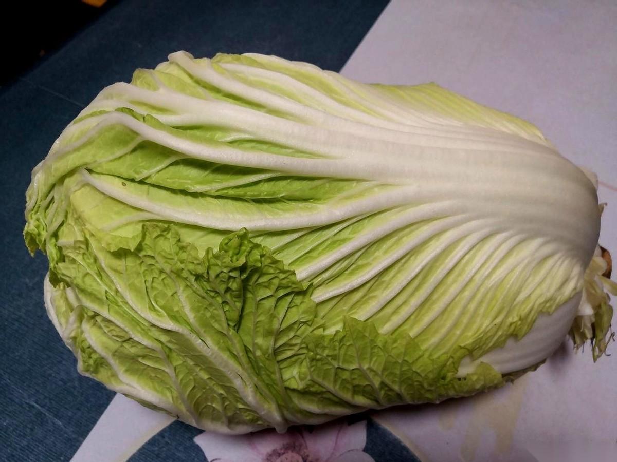 “大白菜，十来斤重，翠绿得掐得出水！”邻居手里的塑料袋一晃，沉甸甸的，土腥气还没